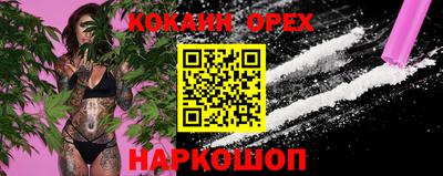 крисы Можга