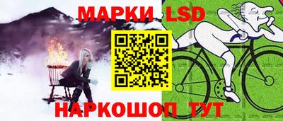 крисы Можга