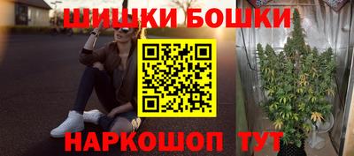 крисы Можга