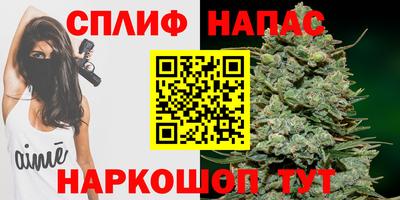 крисы Можга