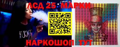 крисы Можга