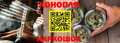 крисы Можга