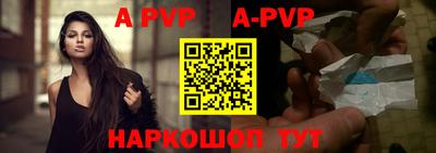 крисы Можга