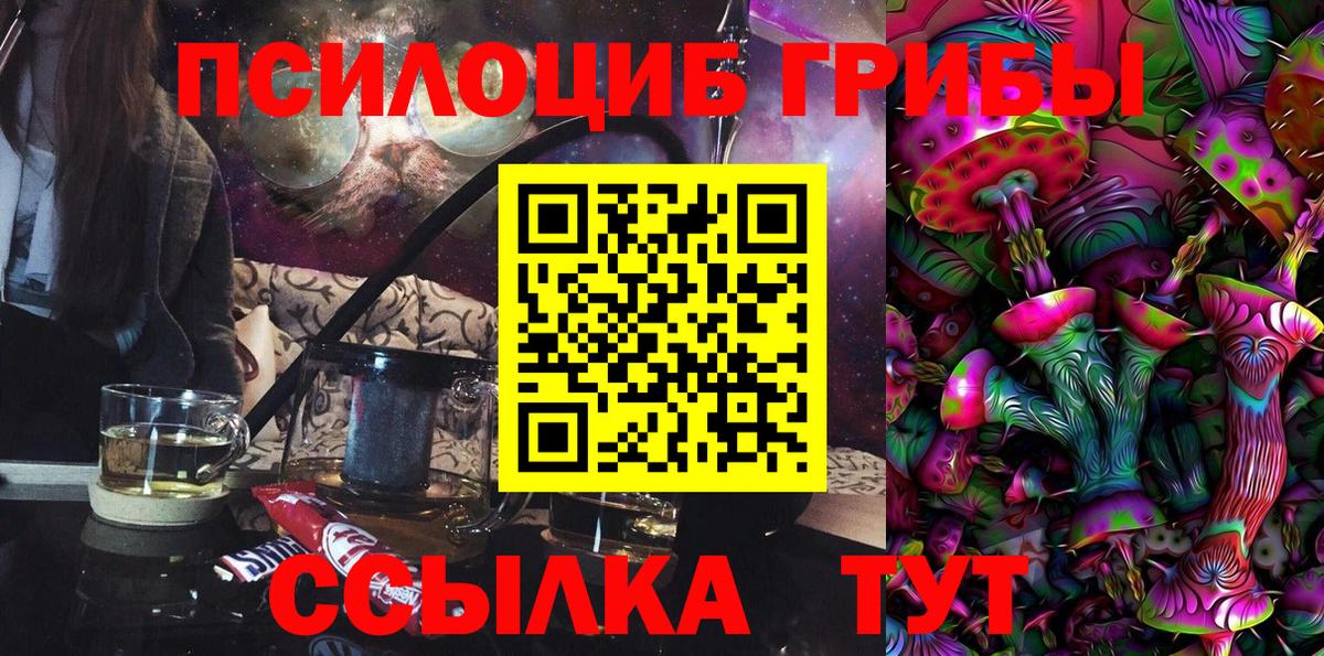 Галлюциногенные грибы Psilocybine cubensis Воронеж