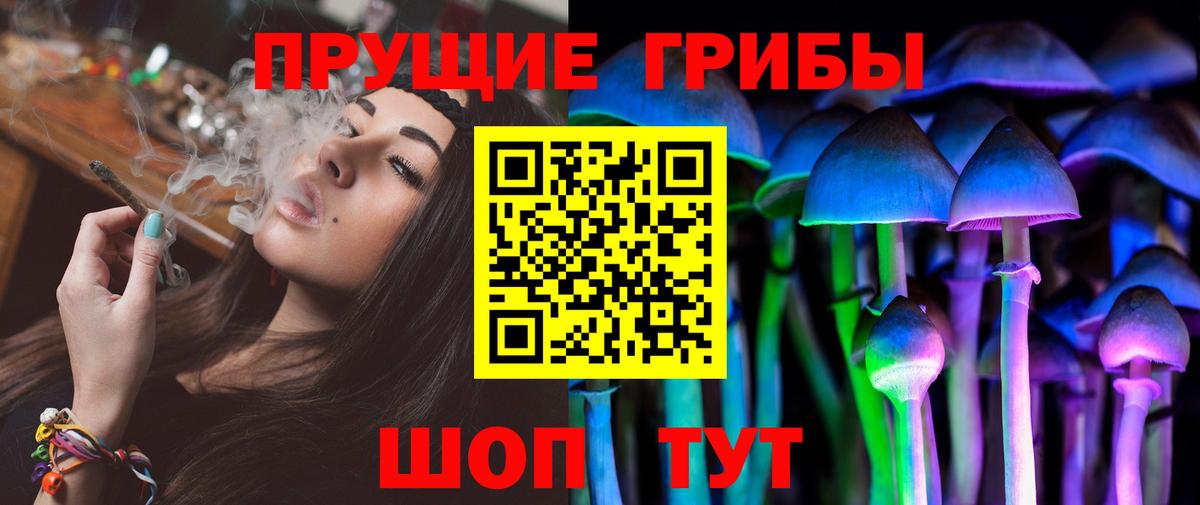Псилоцибиновые грибы Psilocybe  Вход с VPN  Воронеж 